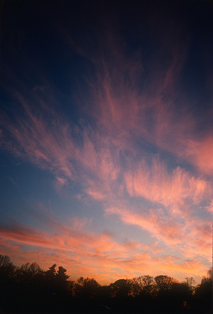 landscape-0004