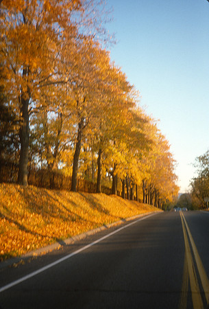landscape-0003