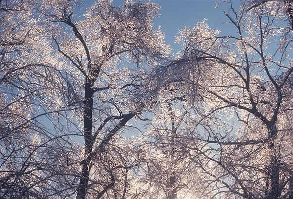 landscape-0001