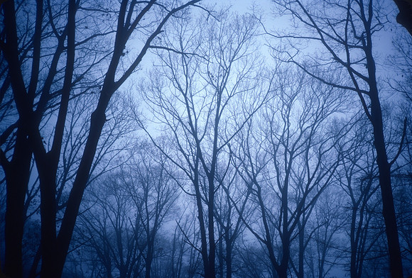 landscape-0002