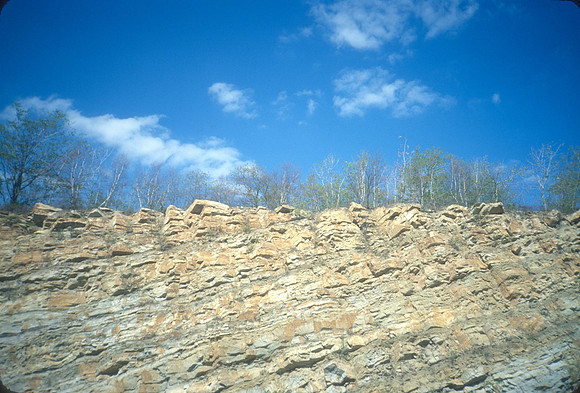 landscape-0009