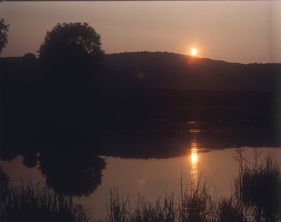landscape-0008